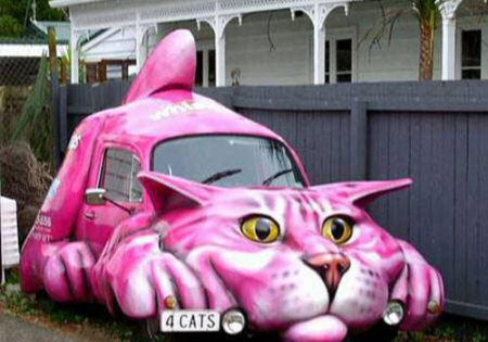 Pink cat car