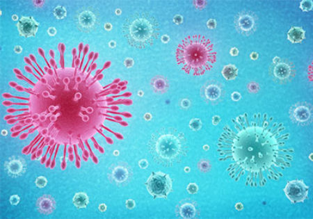 Coronavirus molecules