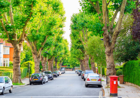 View of street lined with trees in West Hampstead of London