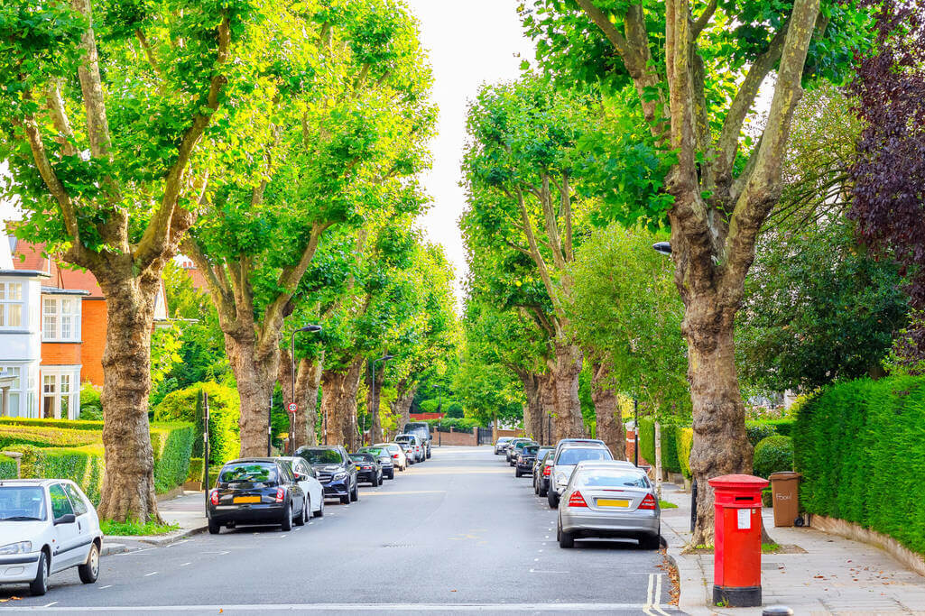 cars parked on road